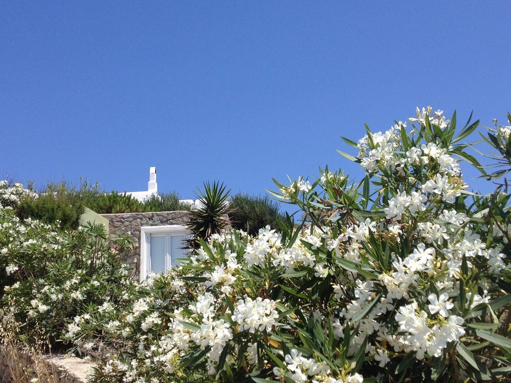 Mykonos Love Nest Ano Mera Room photo